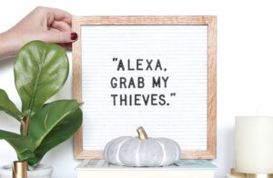 Chemical Free Home Thieves