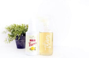 Thieves Cleaner 2