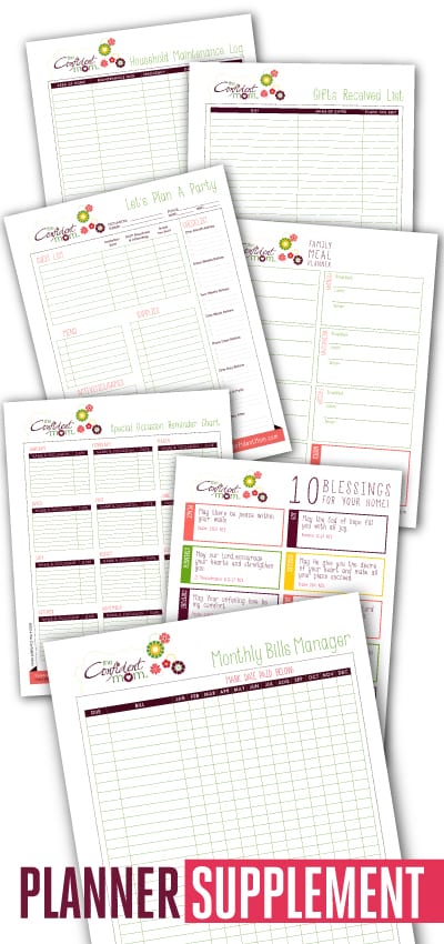 2020planner-supplement-graphic-bottom
