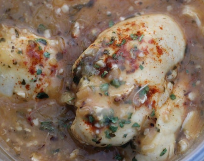 Instant Pot Lemon Garlic Chicken