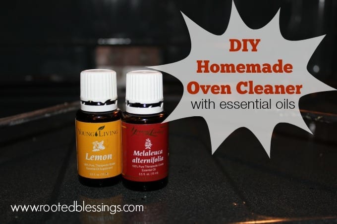 DIY Homemade Oven Cleaner via Rooted Blessings