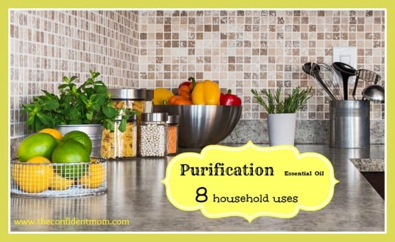 Weekly Household Quick Tip: Purification Essential Oil